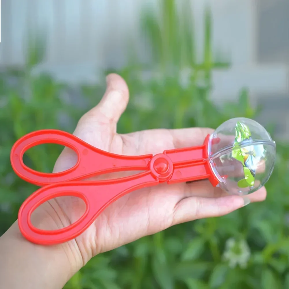 カラフルな大きなビーズ付き虫捕りクリップはさみ、子供用屋外冒 - Outdoor Adventure With Kids のレビューと価格